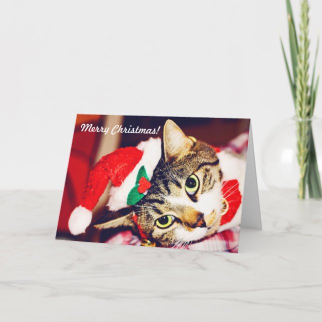 Funny Custom Cat Lover Red Christmas Greeting Card (Front)
