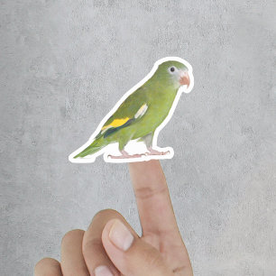 Funny Custom Pet Cut Out Photo Sticker