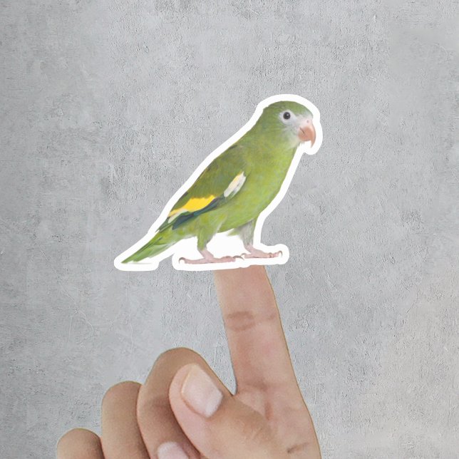 Funny Custom Pet Cut Out Photo Sticker (Funny Pet Cut Out Custom Photo Sticker
)