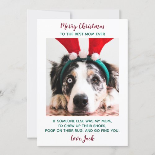 Funny Custom Pet Photo Dog Mom Merry Christmas Hol Holiday Card