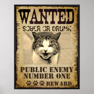 Funny custom wanted poster