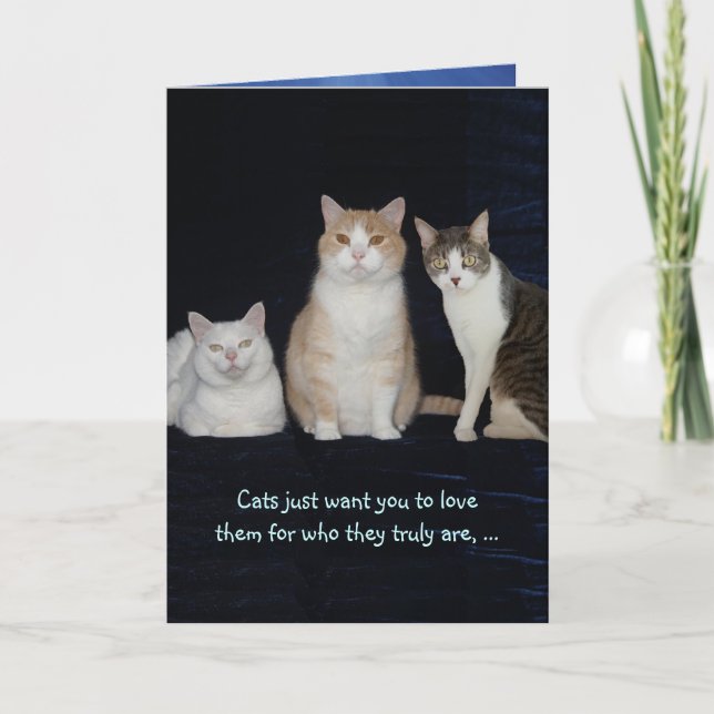 Funny Customizable Cats Card (Front)