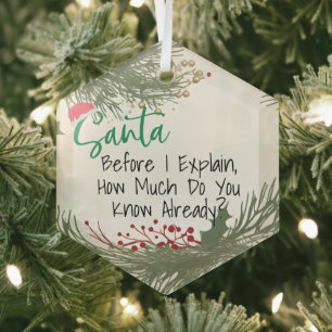 Funny Customizable Dear Santa Christmas Ornament, Glass Ornament