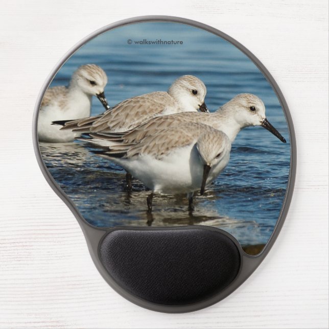 Funny Cute 4 Sanderlings Sandpipers at the Beach Gel Mouse Pad (Front)