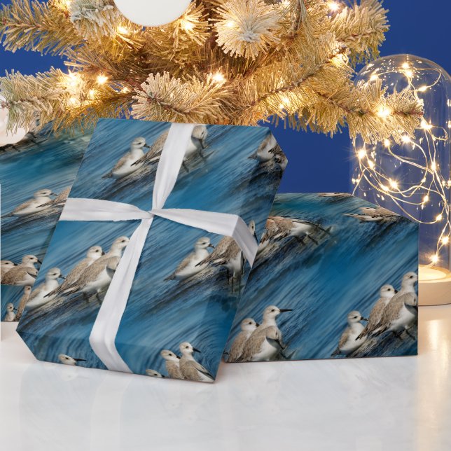 Funny Cute 4 Sanderlings Sandpipers at the Beach Wrapping Paper (Holidays)