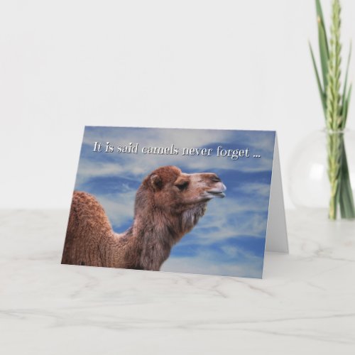 Funny Cute Animal Camel Belated Birthday Card