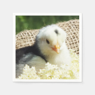  funny cute animals chicken farm  iPad Pro Cover Napkins