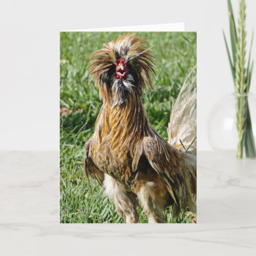 Funny Cute Bad Hair Day Rooster Card