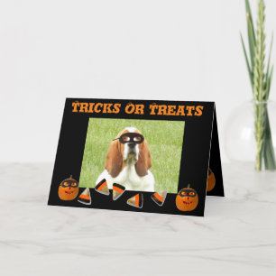 Funny & Cute Basset Hound & Pumpkin Halloween Card