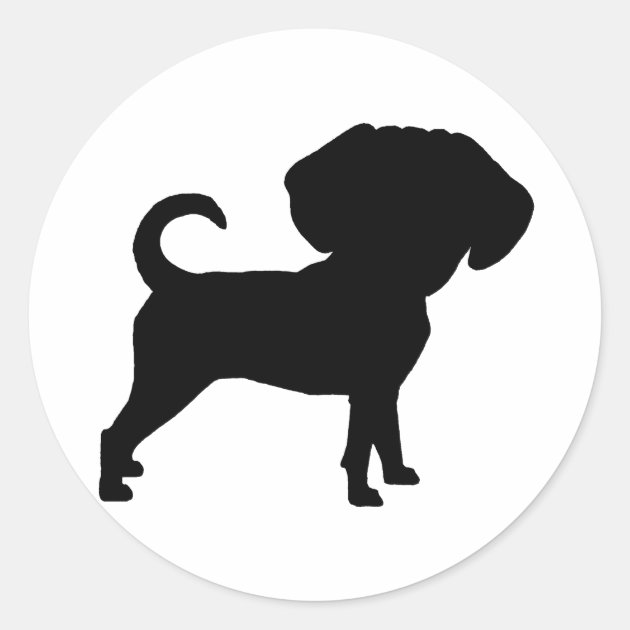 black and white puggle