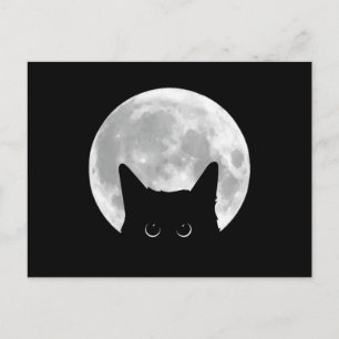 Funny Cute Black Cat Halloween Postcard