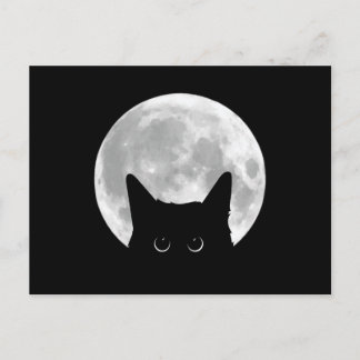 Funny Cute Black Cat Halloween Postcard