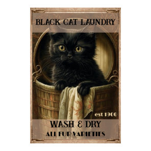 Funny cute Black cat laundry Poster