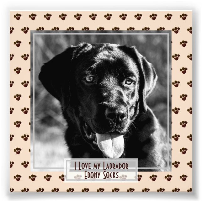 Funny Cute Black Labrador PHOTO Named Memorial (Front)