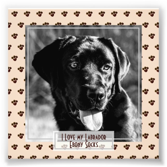 Funny Cute Black Labrador PHOTO Named Memorial Print (Front)