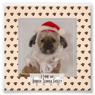 Funny Cute Border Terrier PHOTO Named Keepsake