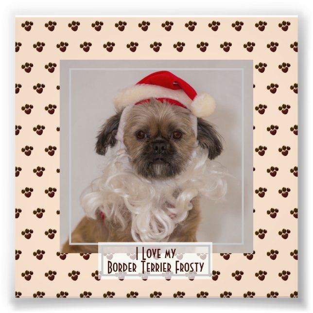 Funny Cute Border Terrier PHOTO Named Keepsake Print (Front)