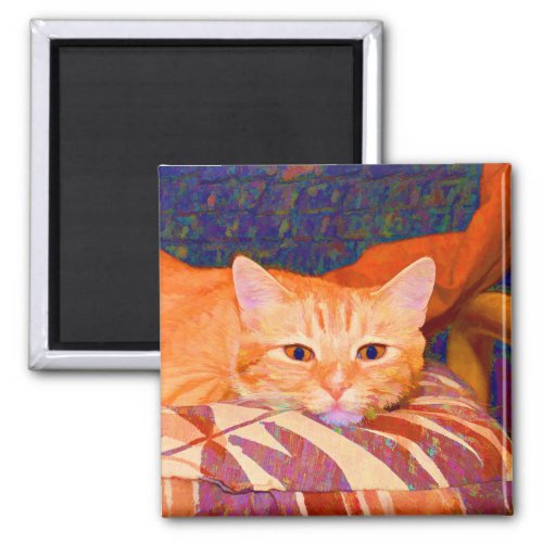 Funny Cute Bright Orange Tabby Cat Magnet