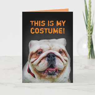 Funny Cute Bulldog Halloween Card