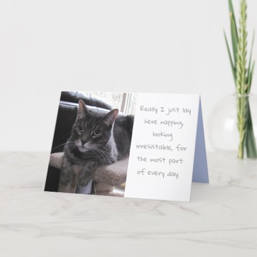 Funny Cute Cat Birthday Card