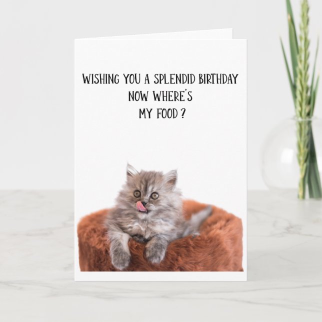 Funny Cute Cat Birthday Greeting Card (Front)