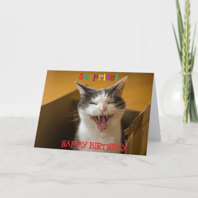 Funny Cute Cat in a Box Birthday Greeting Card | Zazzle