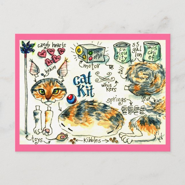 Funny, cute cat kitten postcards (Front)