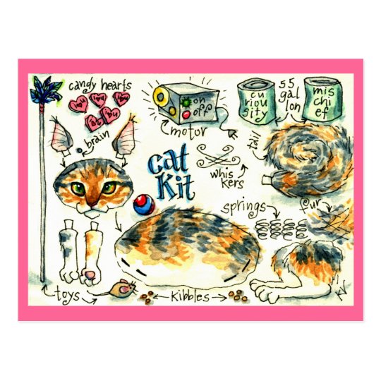 Funny, cute cat kitten postcards | Zazzle.com