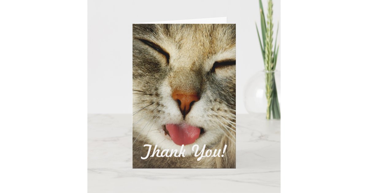 funny thank you animal pictures