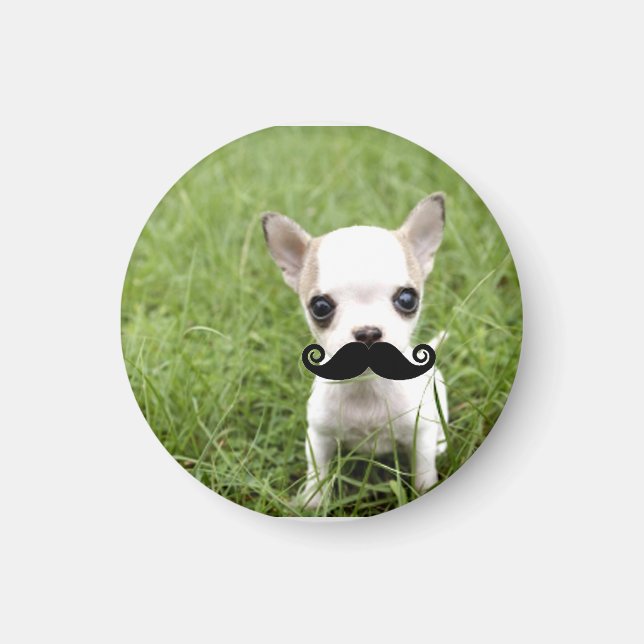 Funny Cute Chihuahua with Mustache Magnet (Front)