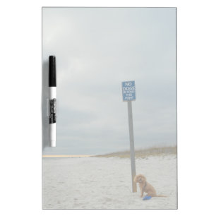 Funny Cute Cockapoo Dog On Beach Photo Dry Erase Board