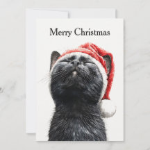 Funny Cute Comic Whimsical Cat Merry Christmas