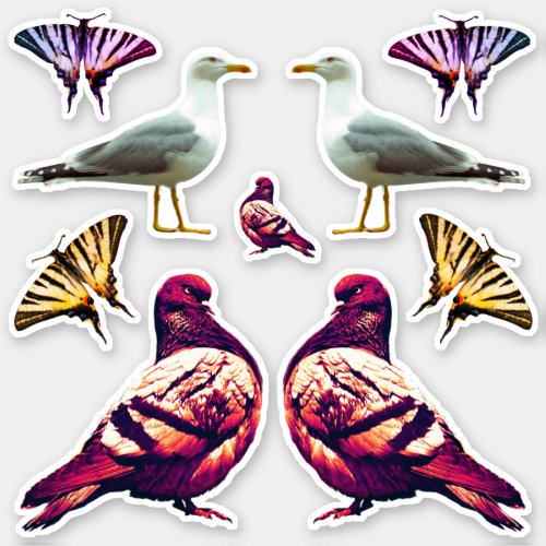 Funny Cute Cool Pigeon Bird  Butterfly Photo Sticker
