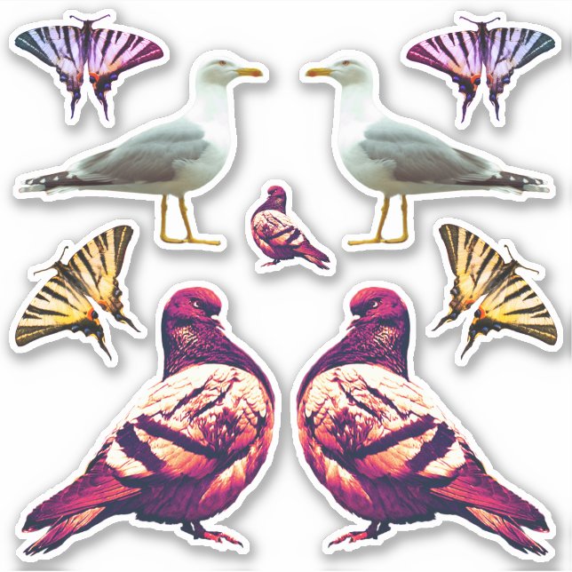 Funny Cute Cool Pigeon Bird & Butterfly Photo Sticker (Front)