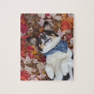 Funny, Cute, Corgi Look Jigsaw Puzzle