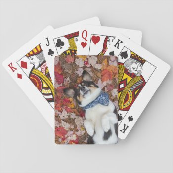 Funny  Cute  Corgi Look Playing Cards by WorldDesign at Zazzle