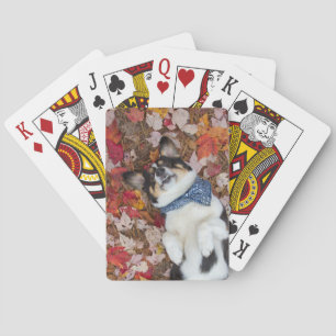 Funny, Cute, Corgi Look Poker Cards