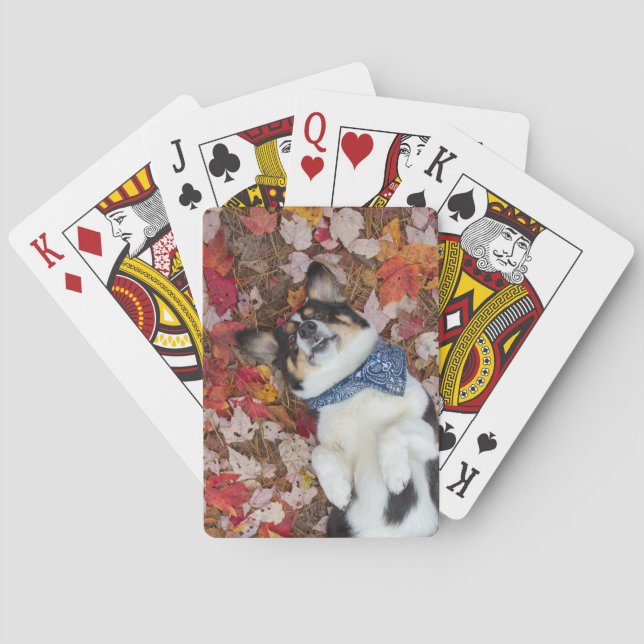 Funny, Cute, Corgi Look Poker Cards (Back)
