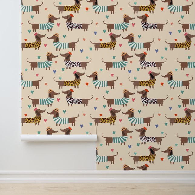 Funny Cute Dachshund Dogs Wallpaper (Application)