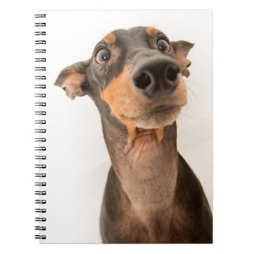 Funny Cute Doberman Puppy Dog Notebook