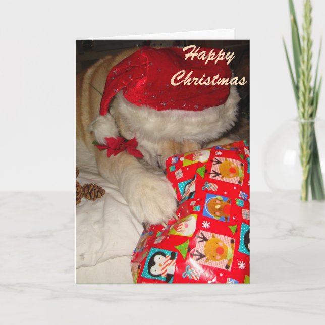 funny cute dog asleep and dressed for christmas holiday card (Front)