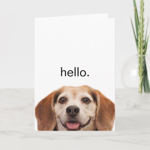 Funny Cute Dog Beagle Hello Modern Blank Card