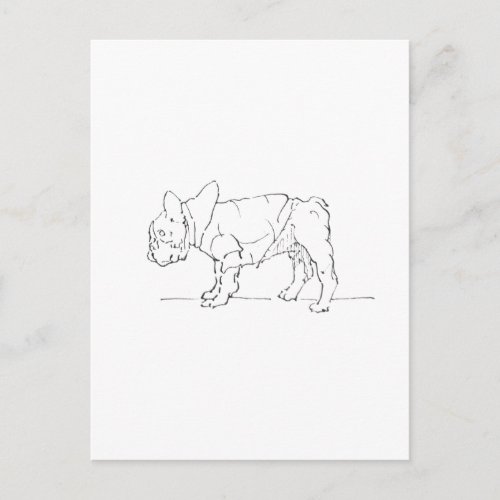 Funny Cute French Bulldog, Dog Humor Postcard