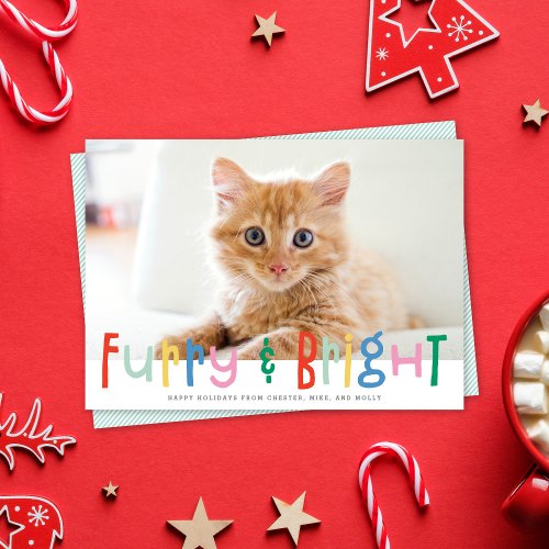 Funny Cute Furry  Bright Dog Cat Pet Photo Holiday Card