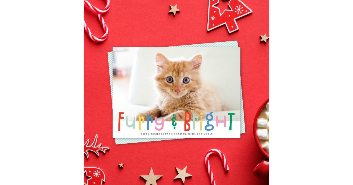 Funny Cute Furry & Bright Dog Cat Pet Photo Holiday Card | Zazzle