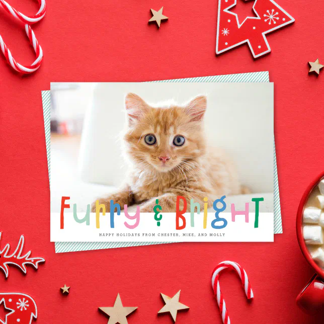 Funny Cute Furry & Bright Dog Cat Pet Photo Holiday Card | Zazzle