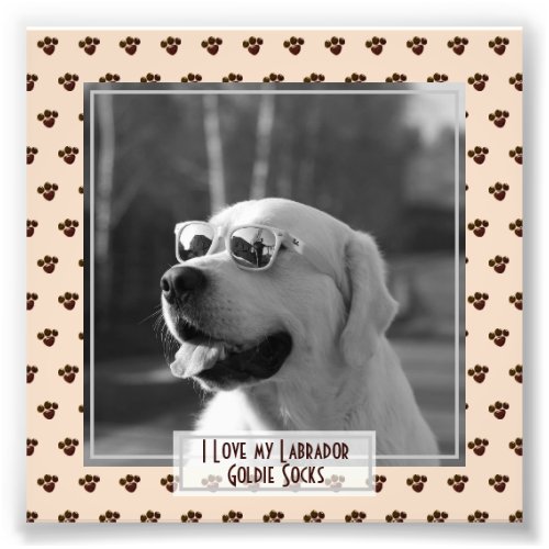 Funny Cute Golden Labrador Retriever PHOTO Named