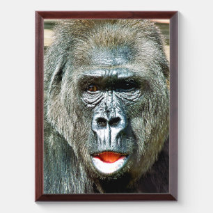 FUNNY CUTE GORILLA AWARD PLAQUE