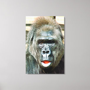 FUNNY CUTE GORILLA CANVAS PRINT