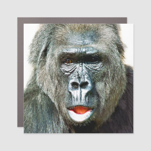 FUNNY CUTE GORILLA CAR MAGNET